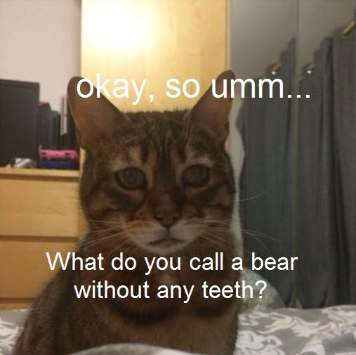 Q8E8fW9.jpg