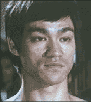 giphy.gif