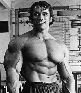 arnold_schwarzenegger_trainingsplan.jpg