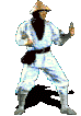 animated_rayden-9.gif