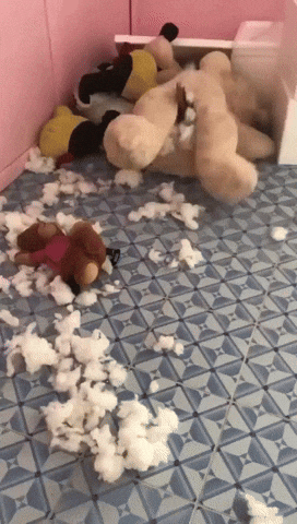 giphy.gif