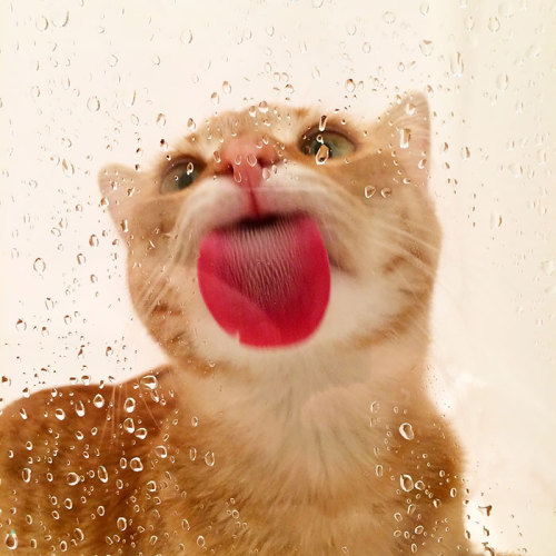 tumblr_ns3ycj85fP1rw6hhbo6_500.jpg