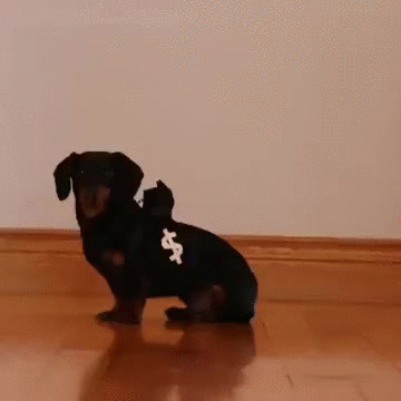 MJcYkOS.gif