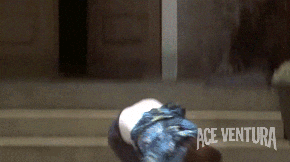 giphy.gif