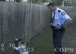 tumblr_mmklp7xsaz1rnqolfo1_400.gif