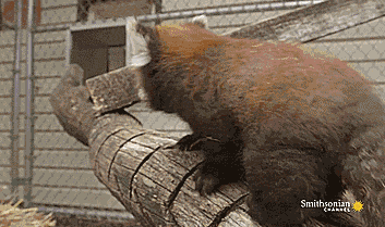 tumblr_ngkt0pt45y1u2jwbho1_400.gif
