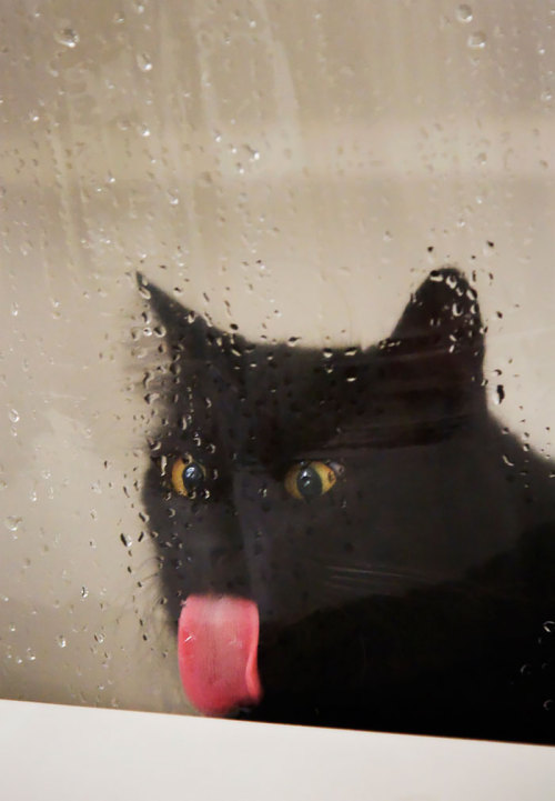 tumblr_ns3ycj85fP1rw6hhbo2_500.jpg