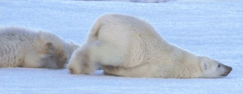 source.gif