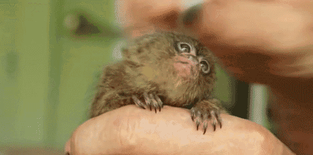 animated-gifs-112-013.gif