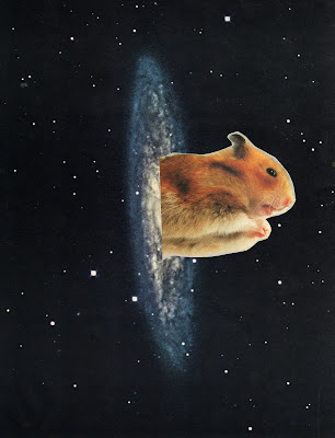 hamster1