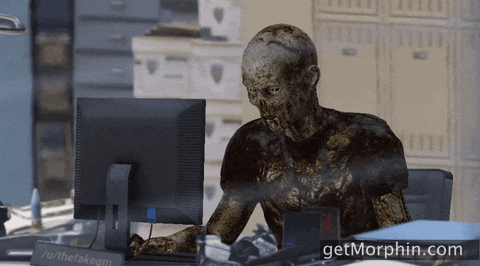giphy.gif