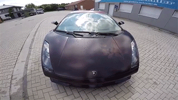 tumblr_nrvu9iK9f01rc7zl1o1_400.gif