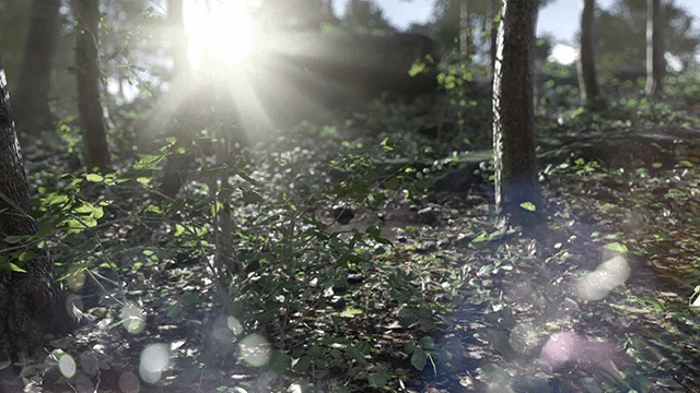 bf411_by_xbulletz-d6agal2.gif