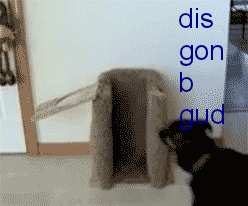 fYlRLP9.gif