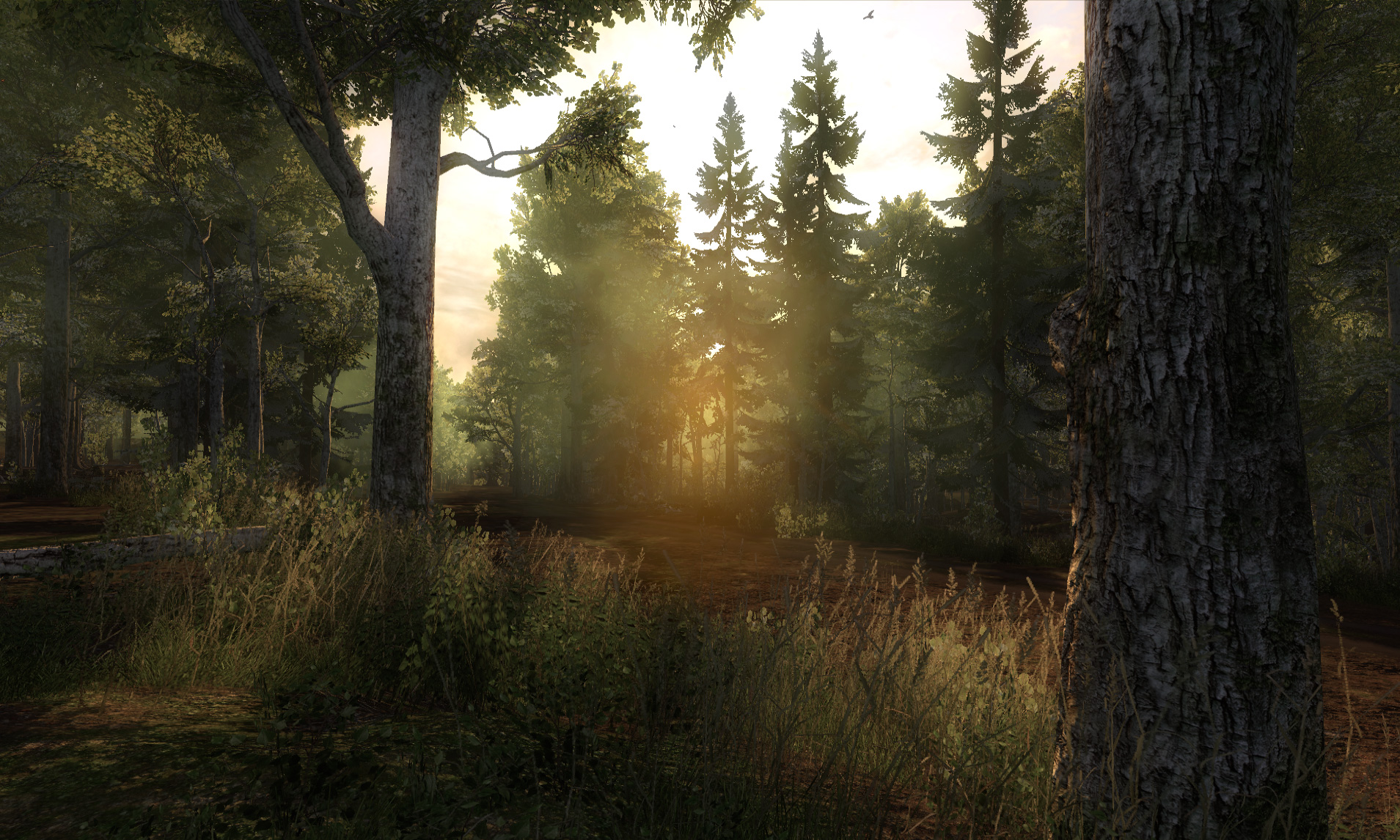 hunter_screenshot__7_.jpg