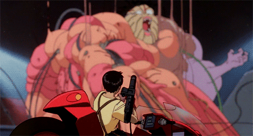 tumblr_mwbxb6rJ561qd0e7vo1_500.gif