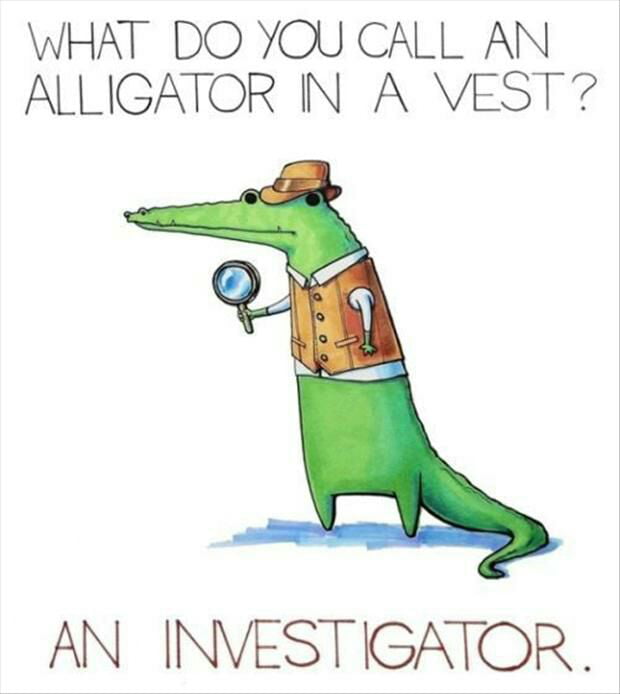 aWOY39A_700b_v1.jpg