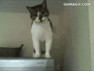 v67qtblb.gif
