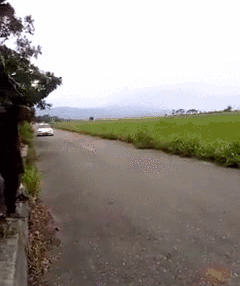 OpcVeiP.gif