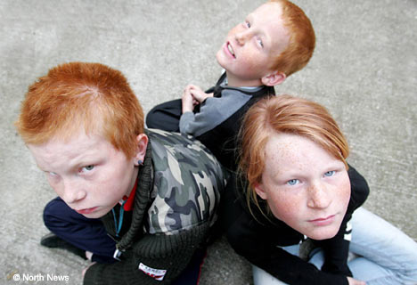 ginger2NNP0106_468x320.jpg