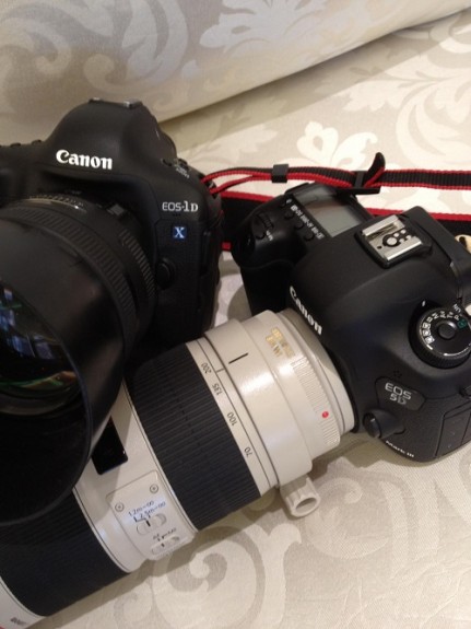 5d3_1dx-431x575.jpg