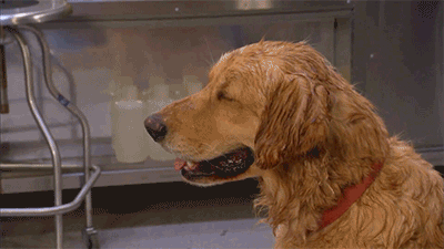 source.gif