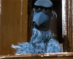 tumblr_m9345v5QDW1qi614u.gif