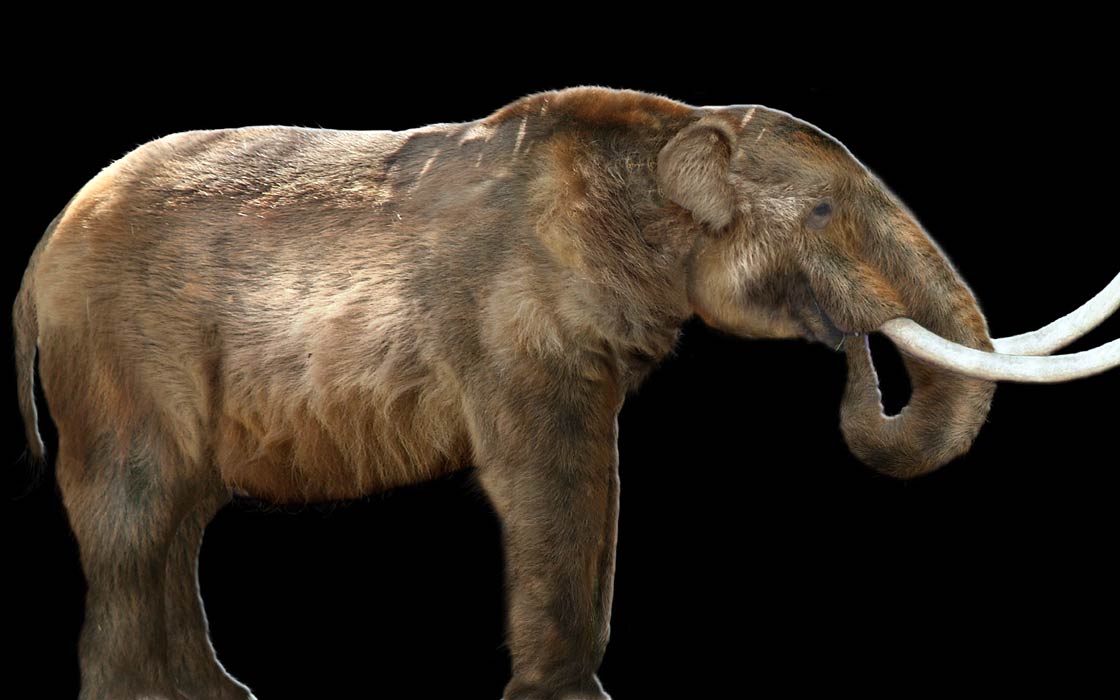 Mastodon-1.jpg