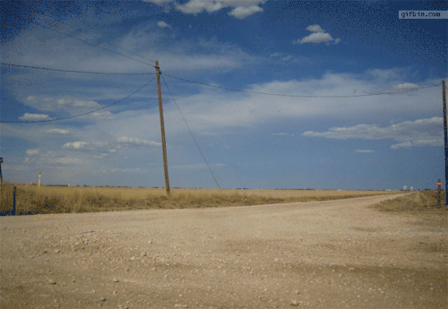 tumblr_inline_ntj4bwxLAT1qacyw0_500.gif