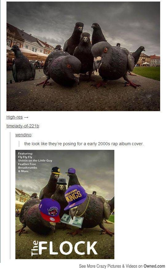 OnSbIQx.jpg