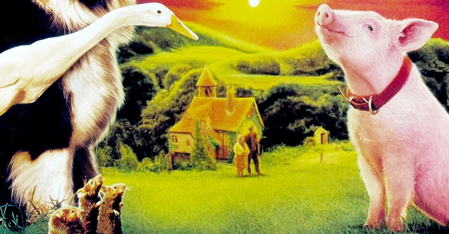 Ein-Schweinchen-namens-Babe