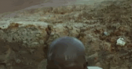 vjGXdGz.gif