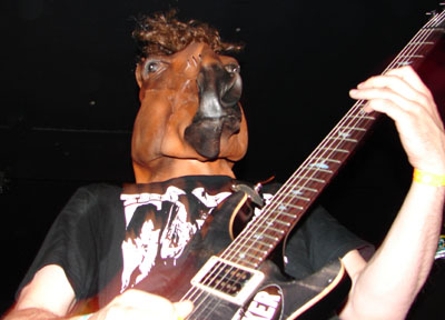 cephalic.jpg