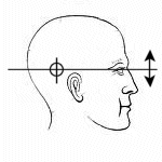 headregular.gif