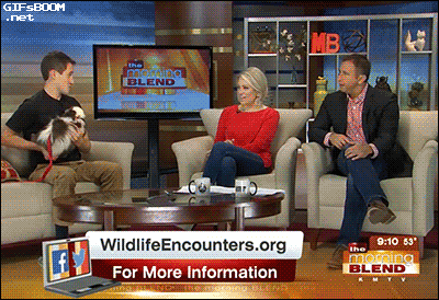 tumblr_nwgap19WQS1s02vreo1_400.gif