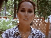 r5133SS.gif