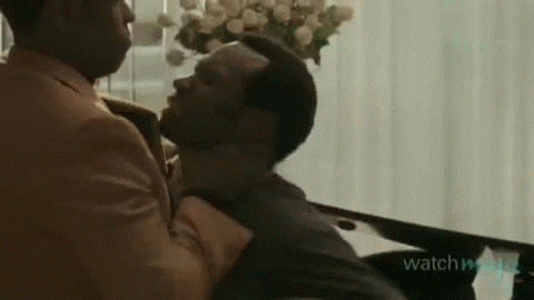 giphy.gif