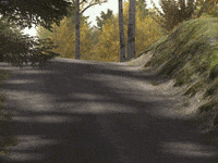 200w.gif