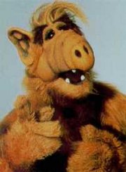alf.jpg