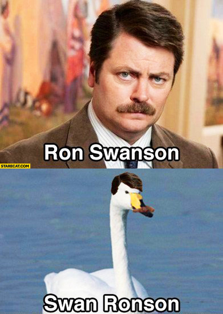 ron-swanson-swan-ronson.jpg