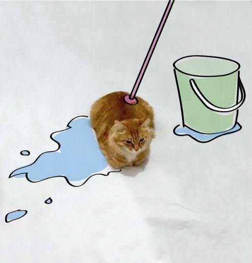 tumblr_nz01wzDMQ61qzcv7no3_500.jpg