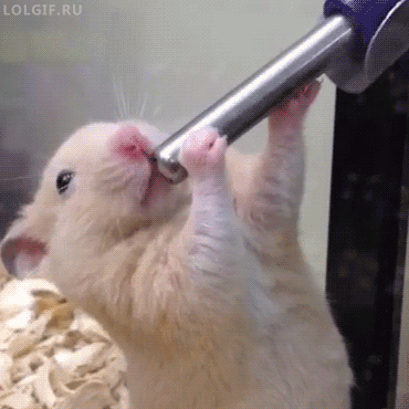 tumblr_nmbpuzeagI1u2jwbho1_400.gif