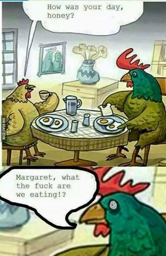jp3OcYS.jpg