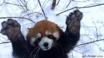 a9762b2177e0ab2ade62457507559392.gif