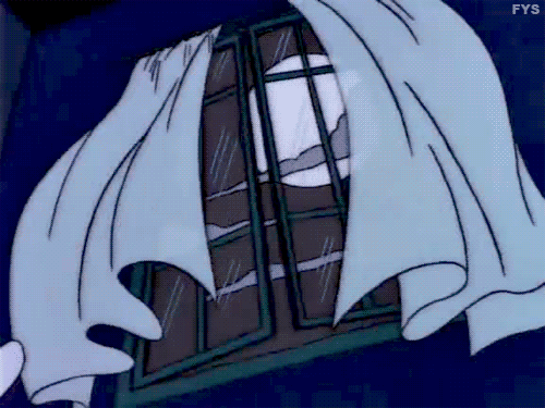 giphy.gif