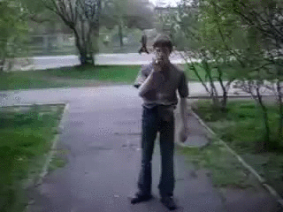 y8z8hlf.gif