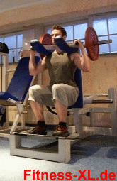 291.gif
