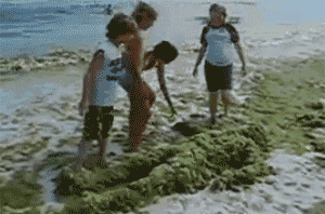 animated-gifs-47-014.gif