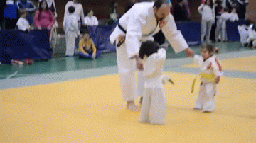 R3Zl.gif