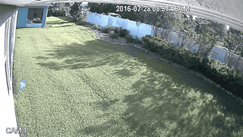 tumblr_ob4we5hdiG1s02vreo1_500.gif